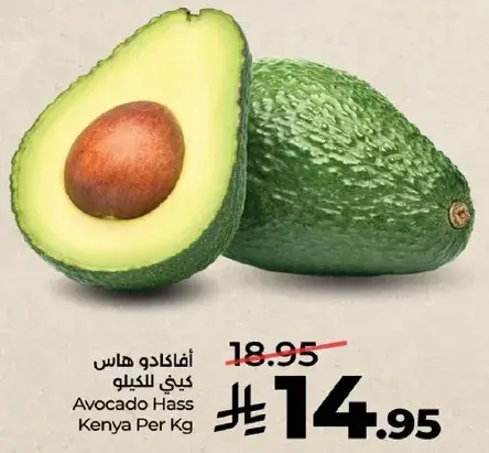 افوكادو هاس كيني للكilo