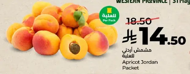 مشمش اردني للعلبه