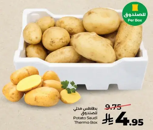 بطاطس محلي صندوق