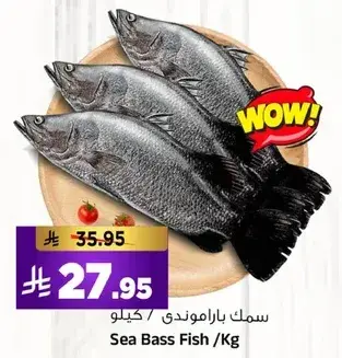 سمك باراموندي /كيلو