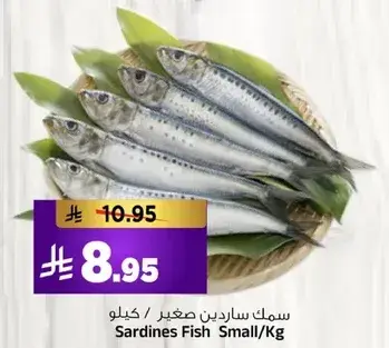 سمك سردين صغير /كيلو