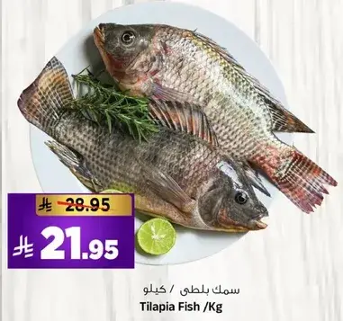 سمك بلطي /كيلو