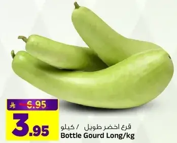 قرع اخضر طويل / كيلو