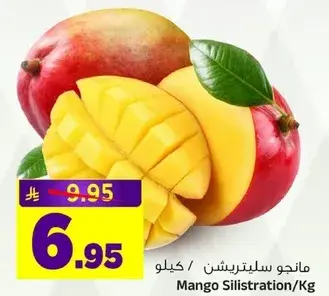 مانجو سيلترشين/كيلو