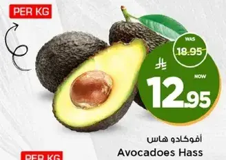 افوكادو هاس