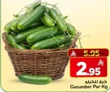 خيار بالجمله لكل كجم