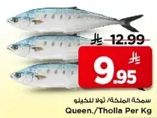 سمكه الملكه/ ثولا للكيلو