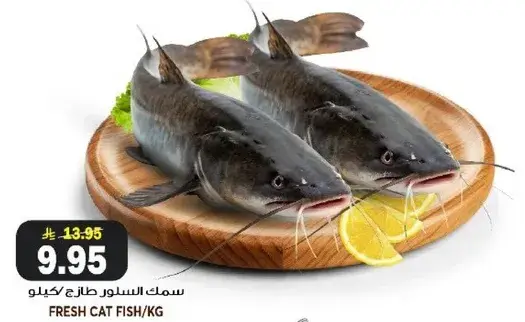 سمك سلور طازج/كجم