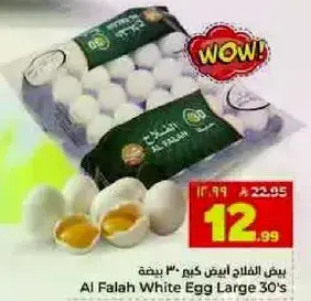 بيض الفلاح ابيض كبير 30 بيضه