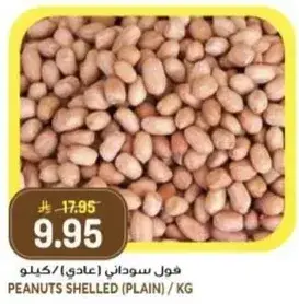 فول سوداني (عادي) / كيلو