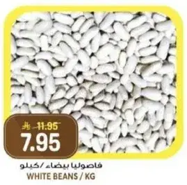 فاصوليا بيضاء