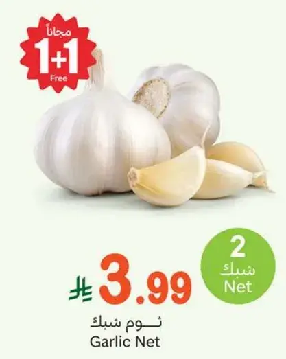 ثوم