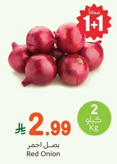 بصل احمر