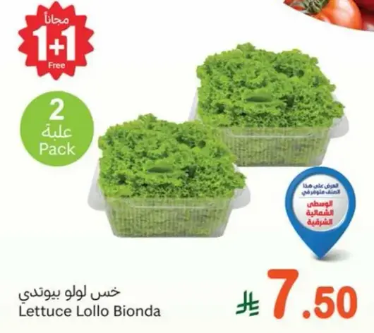 خس لولو بيوندي