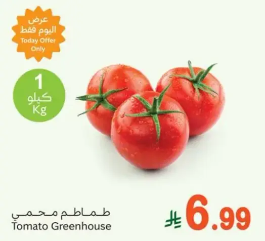 طماطم محمي