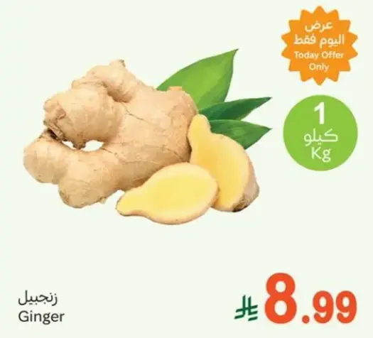 زنجبيل