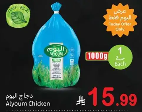 دجاج اليوم