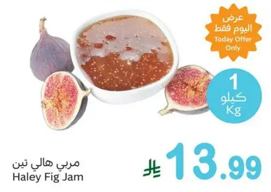 مربي هالي تين