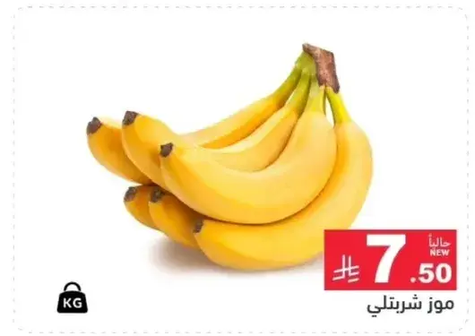 موز شيرتنلي