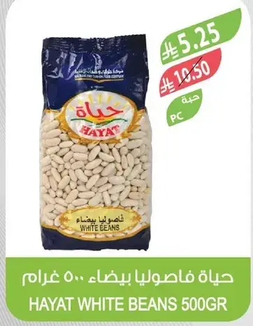حياه فاصوليا بيضاء.