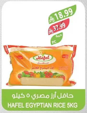 حافل ارز مصري ٥ كيلو