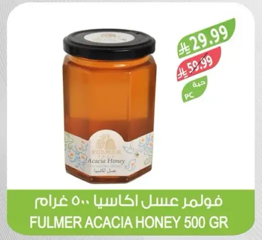 فولمر عسل اكاسيا 500 غرام