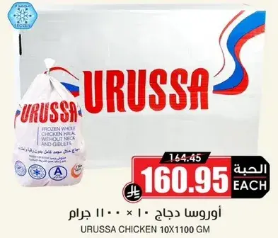 اوروسا دجاج، 10 × 1100 غرام