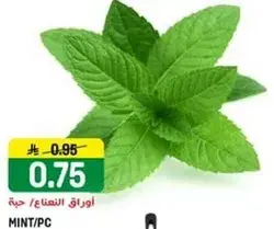 نعناع/قطعه.