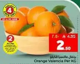 برتقال فالنسيا لكل كيلو