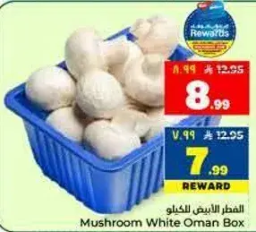 Mushroom White Oman Box