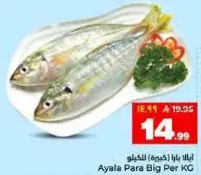 ايالا بارا (كبيره) للكيلو
