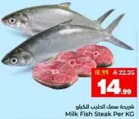 سمكه الحليب ستيك للكيلو