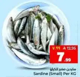 ساردين صغير للكيلو