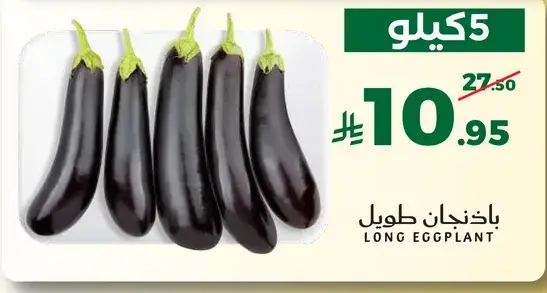 5 كيلو من الباذنجان الطويل.
