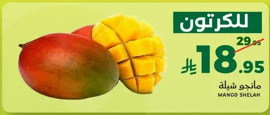 مانجو شيله.