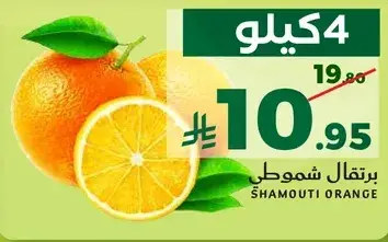 برتقال شموطي 4 كيلو