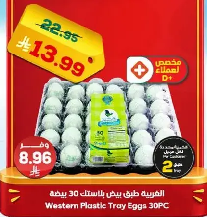 الغربيه طبق بيض بالبلاستيك 30 بيضه