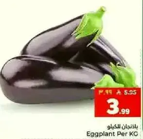 بادنجان للكيلو