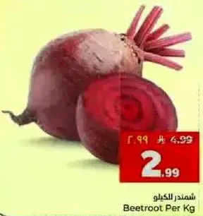 شمندر للكغلو