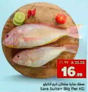 سمك ساره سلطان كبير للكيلو