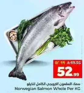 سمك السلمون النرويجي الكامل للكيلو