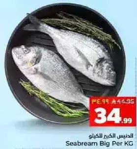 Seabream Big Per KG