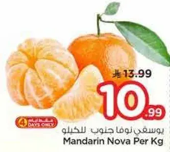 Mandarin Nova Per Kg
