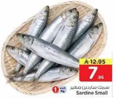 سمك سردين صغير