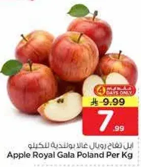 تفاح رويال غالا بولندا للكيلو