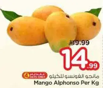 مانجو الفونسو للكيلو