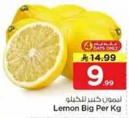 ليمون كبير للكilo