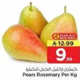 كمثري اكليل الجبل للكilo