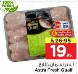 استرا دجاج طازج