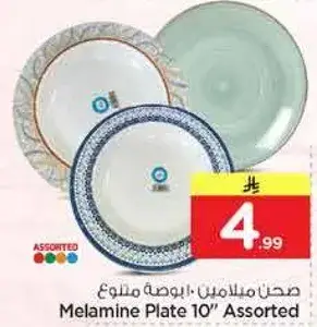 صحن ملامين 10" متنوع